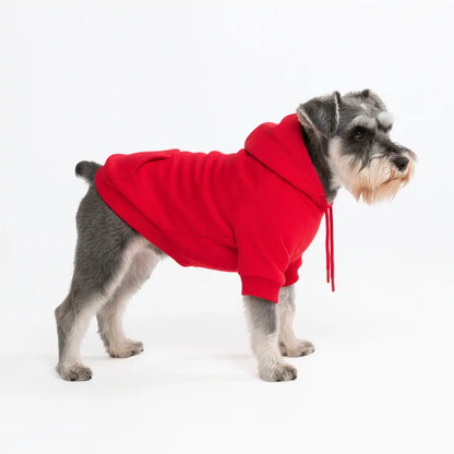 Essential Dog Hoodies