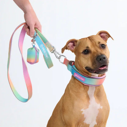 Cushioned Martingale Collars