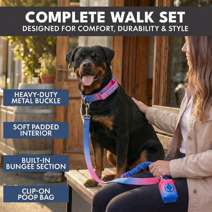 Comfort Control Collar and Multipurpose Leash Sets