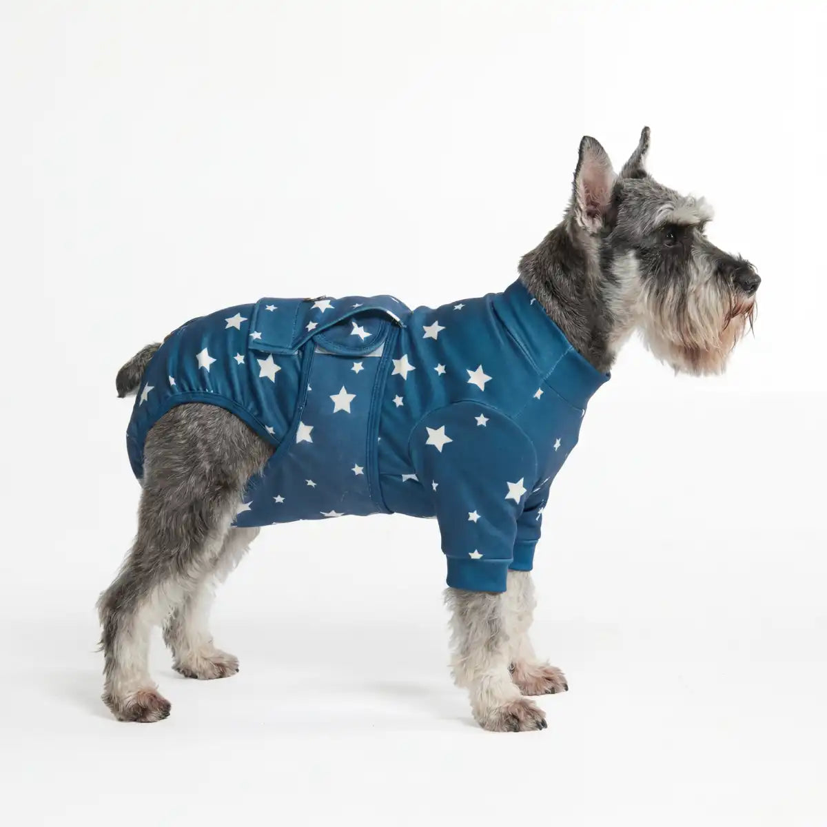 Dog Surgical Suit