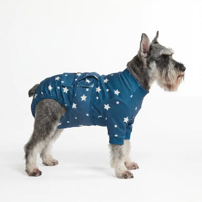 Dog Surgical Suit