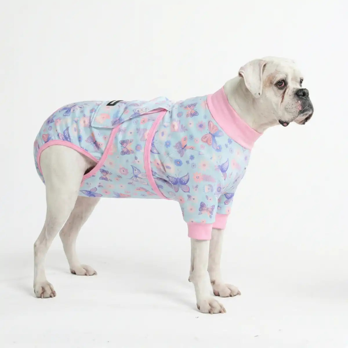 Dog Surgical Suit - Butterfly
