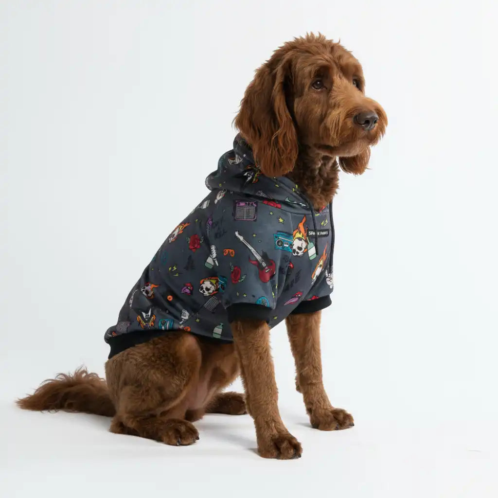 Rock and Roll Dog Hoodie