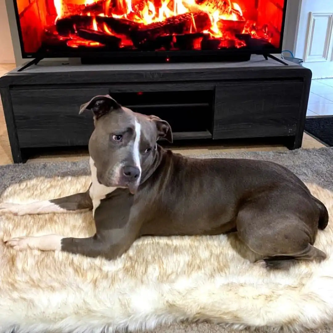 Faux Fur Memory Foam Rug Dog Bed