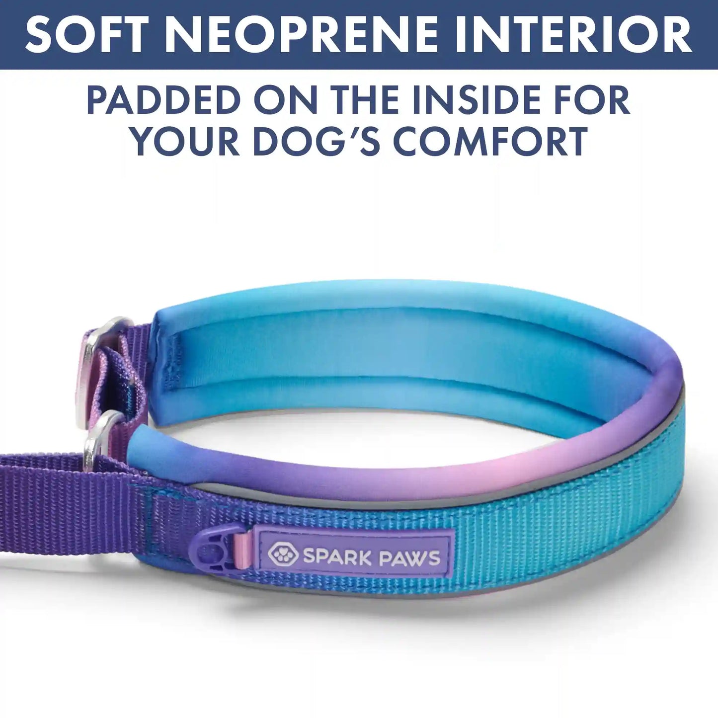 Martingale Collar and Multipurpose Leash Set - 90s Retro