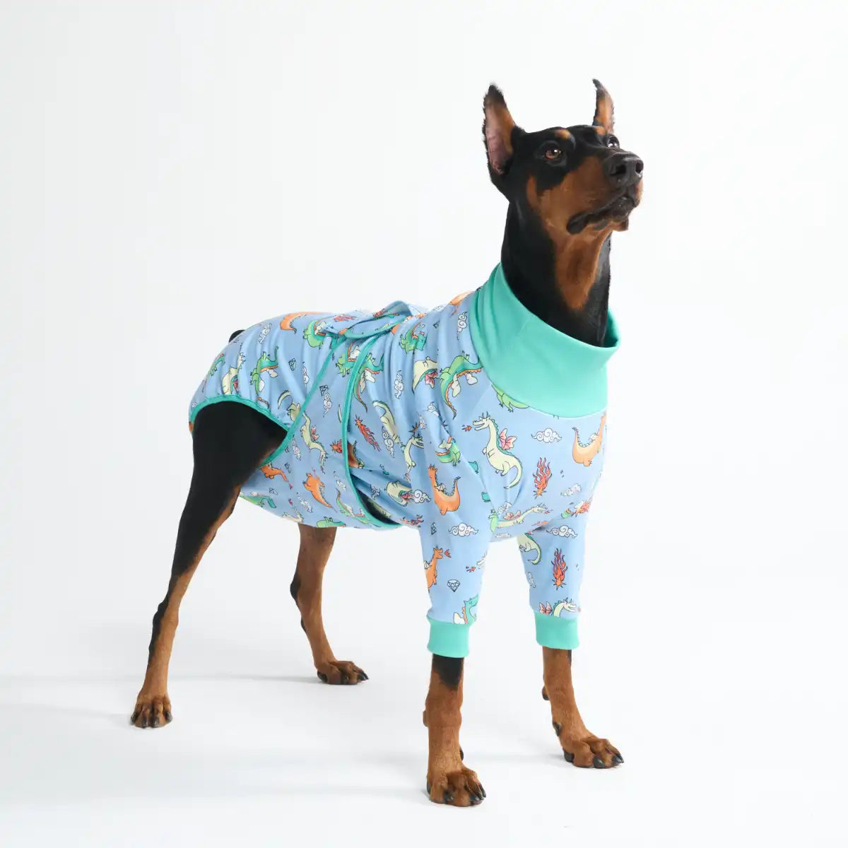 Dog Surgical Suit - Dragons
