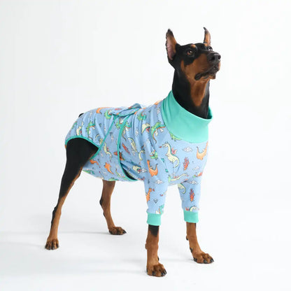 Dog Surgical Suit - Dragons