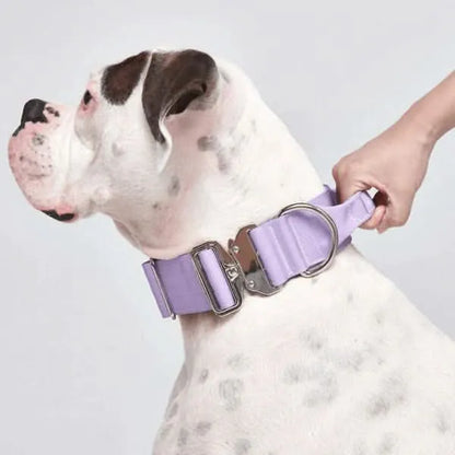 Comfort Control Dog Collars