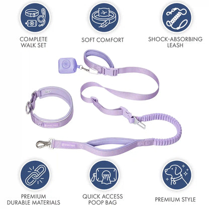 Martingale Collar and Multipurpose Leash Set - Lilac
