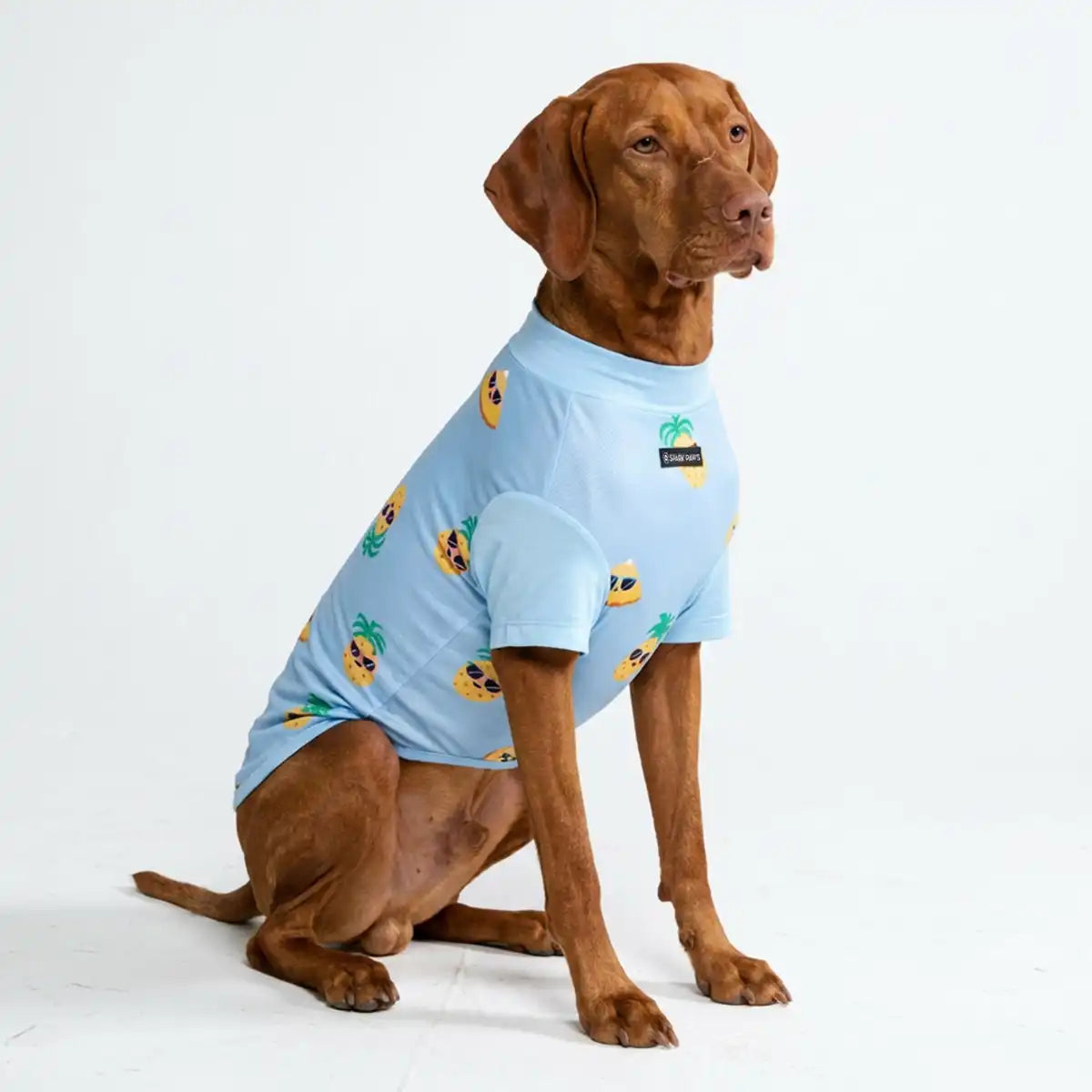 Sunblock Dog T-Shirt - Prints
