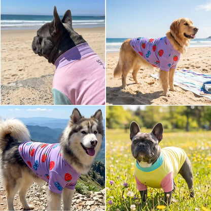 Sunblock Dog T-Shirt (3-pack) - Gelato, Yuzu, Berries
