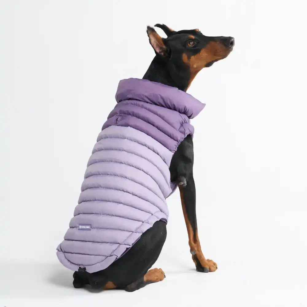 PuffShield Winter Jackets
