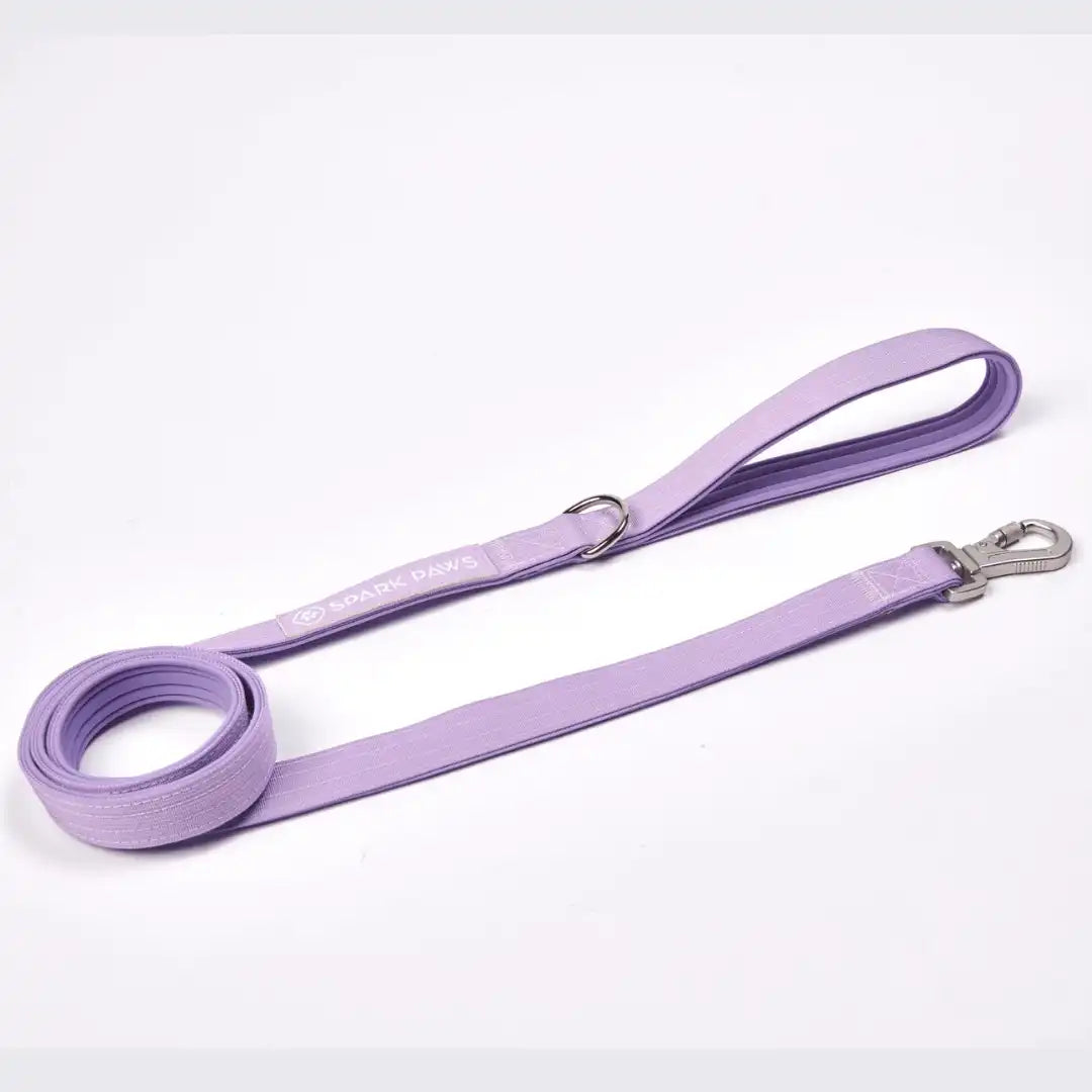 Leash and Poop Bag Holder Set