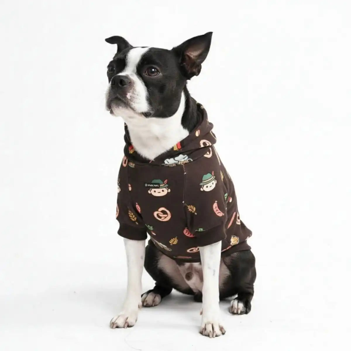 Around the World Dog Hoodies