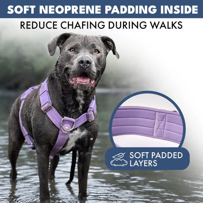 Comfort Control™ No-Pull Dog Harness - Lilac