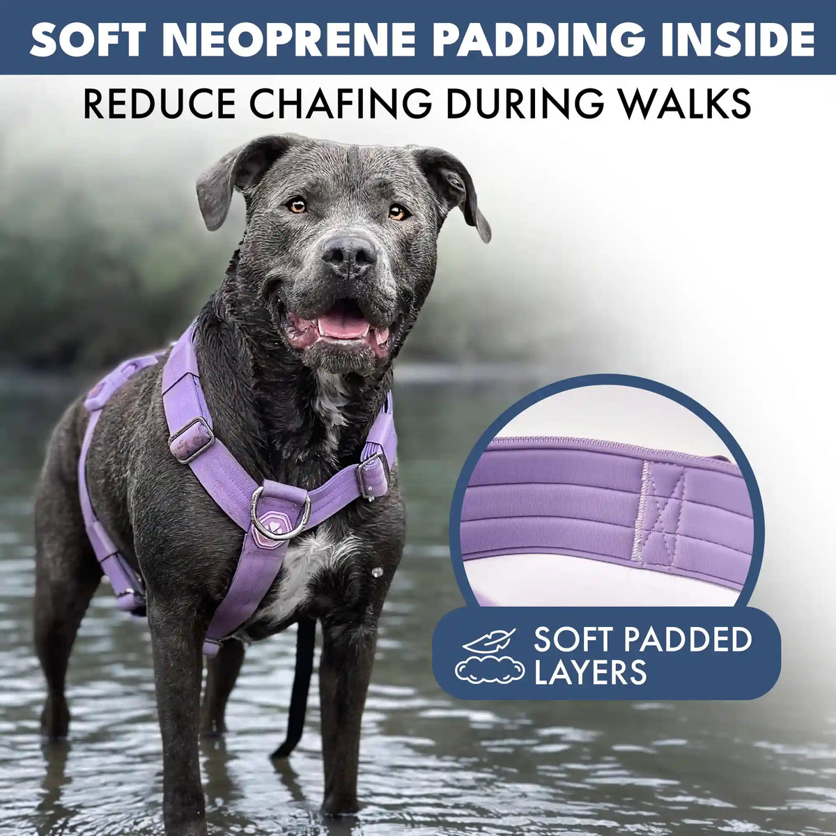 Comfort Control No-Pull Dog Harness Set - Lilac