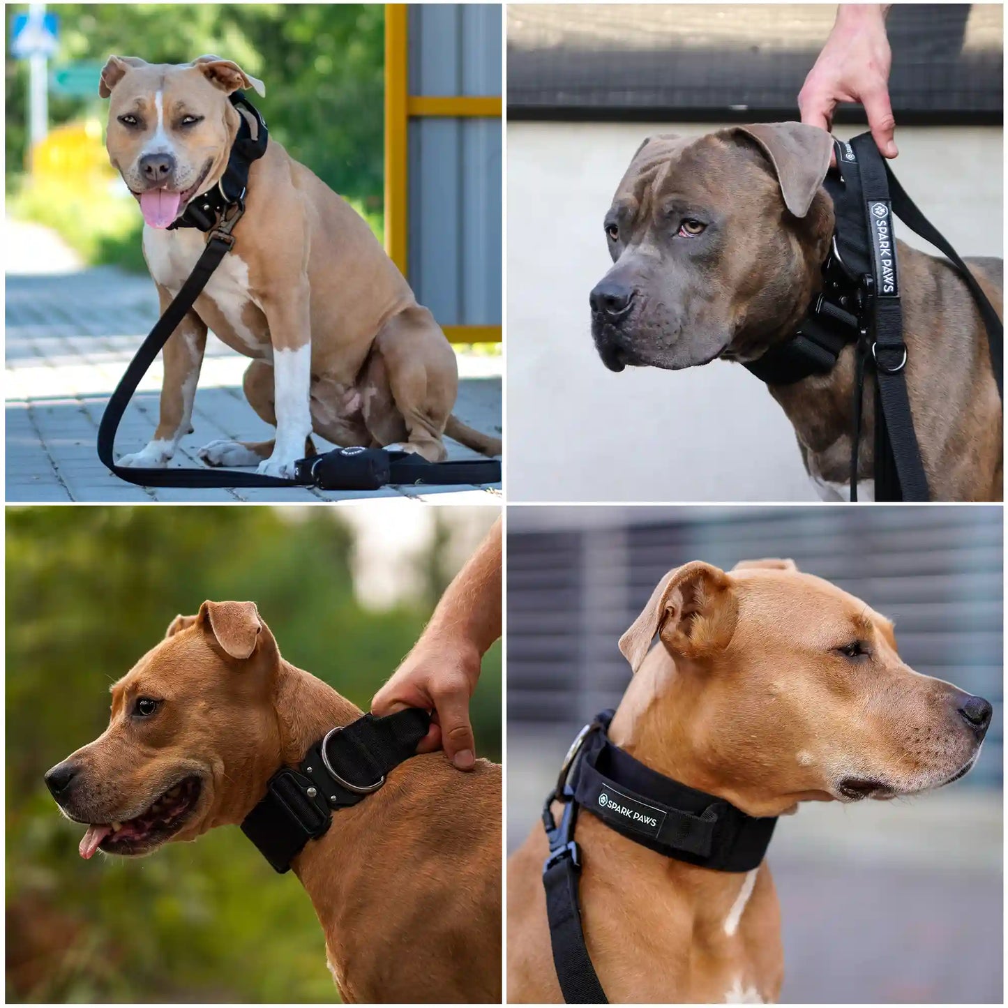 Comfort Control Collar - Black