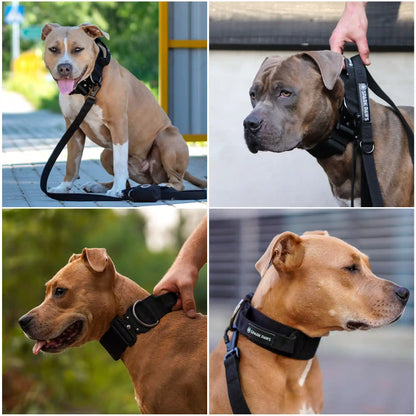 Comfort Control Collar - Black