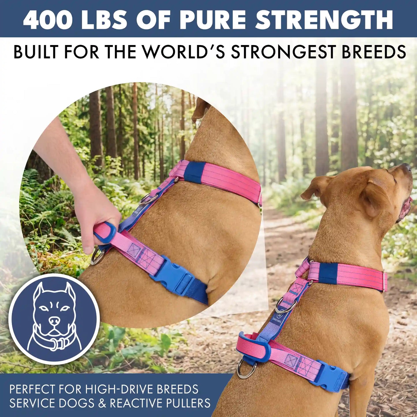 Comfort Control No-Pull Dog Harnesses
