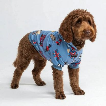 Around the World Dog Hoodies