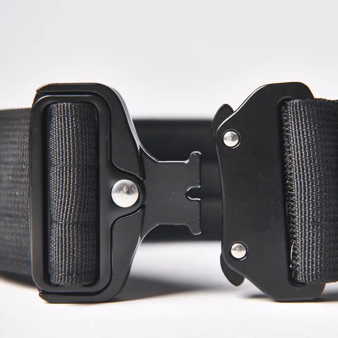 Comfort Control Dog Collars