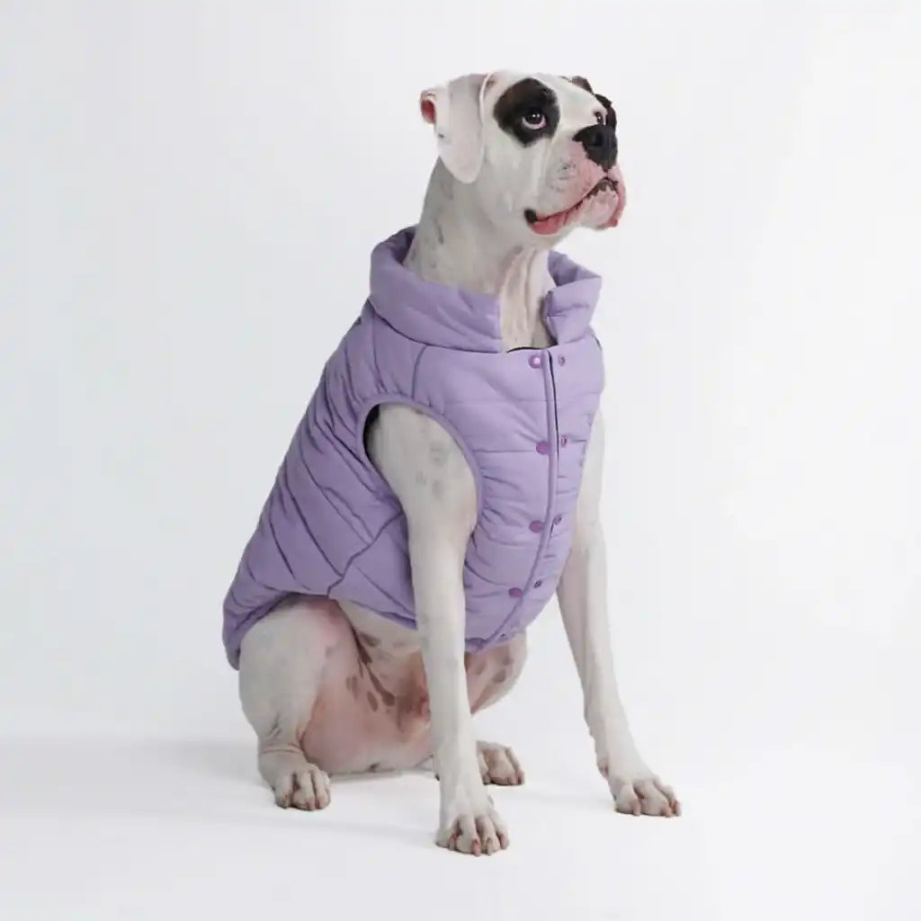 WarmShield Water-Resistant Jackets