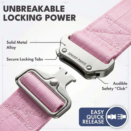 Comfort Control Collar and Multipurpose Leash Sets