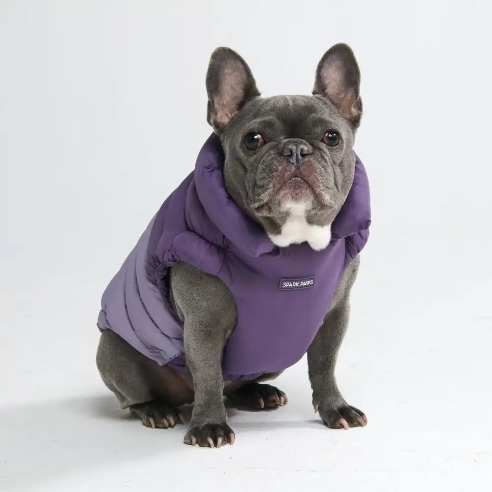 PuffShield Winter Jackets