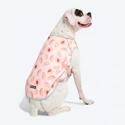 Chilltech™ Dog Cooling Vests