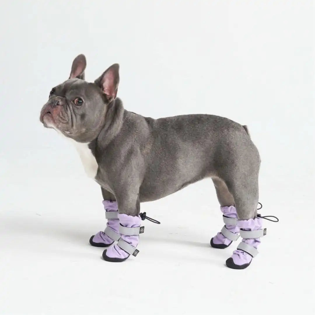 Dog Rainboots, Waterproof Dog Shoes