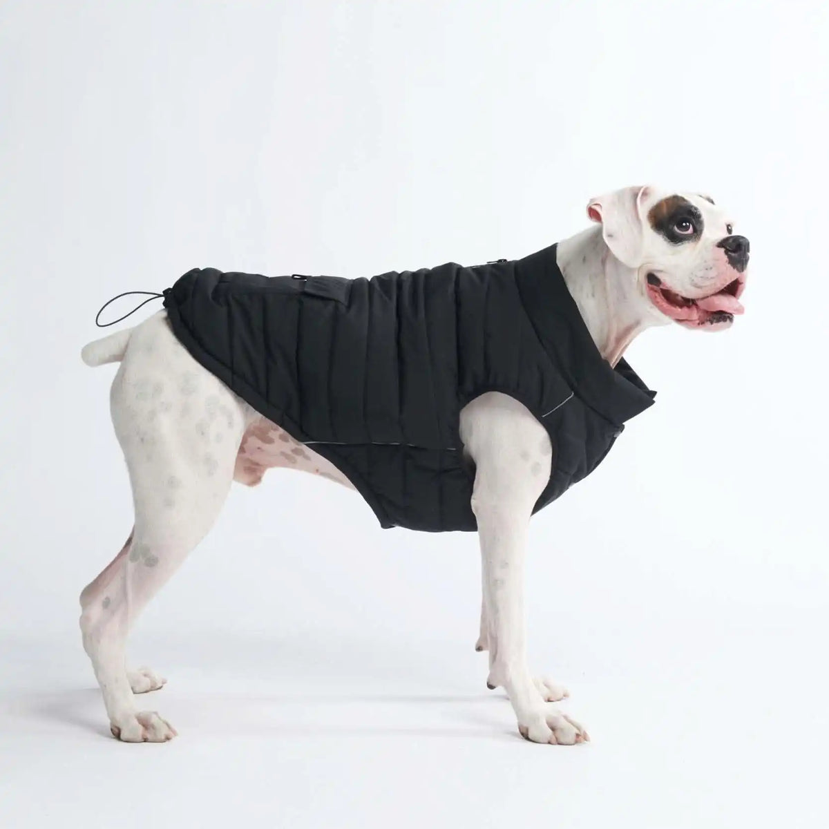 WarmShield Water-Resistant Jackets