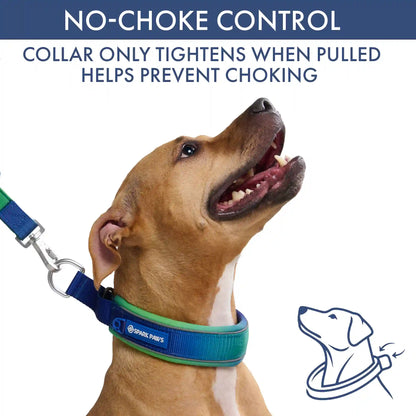 Martingale Collar and Multipurpose Leash Sets