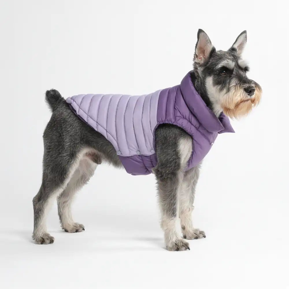 PuffShield Winter Jackets