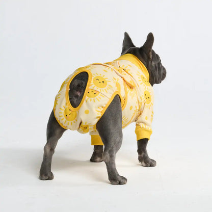 Dog Surgical Suit  (2-pack) - Dinosaurs and Sunshine