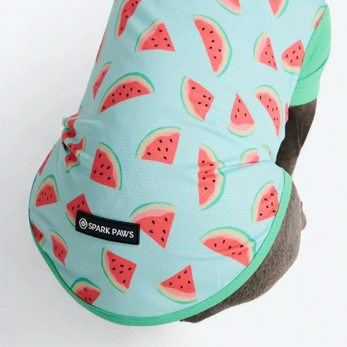 Sunblock Dog T-Shirt - Prints