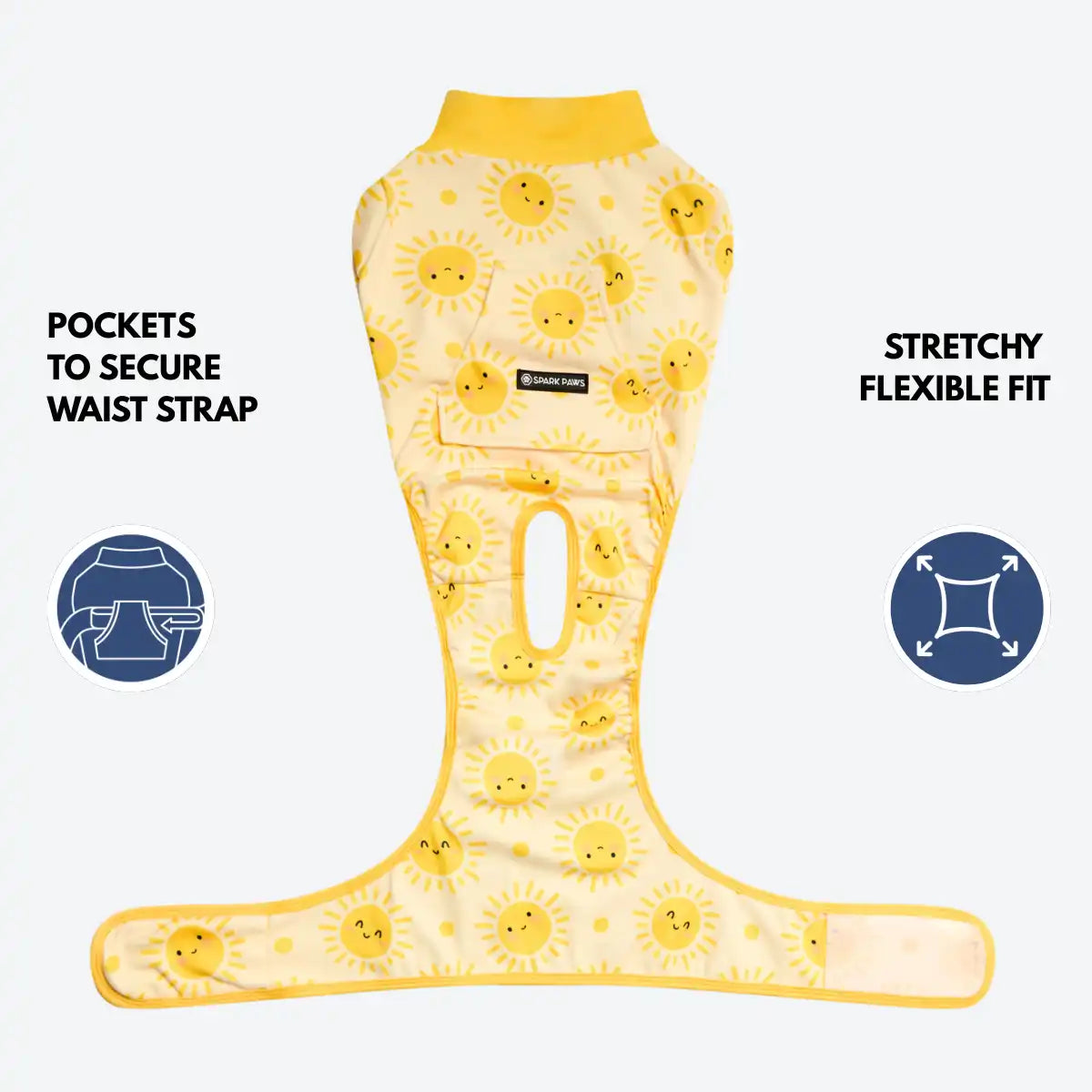 Dog Surgical Suit