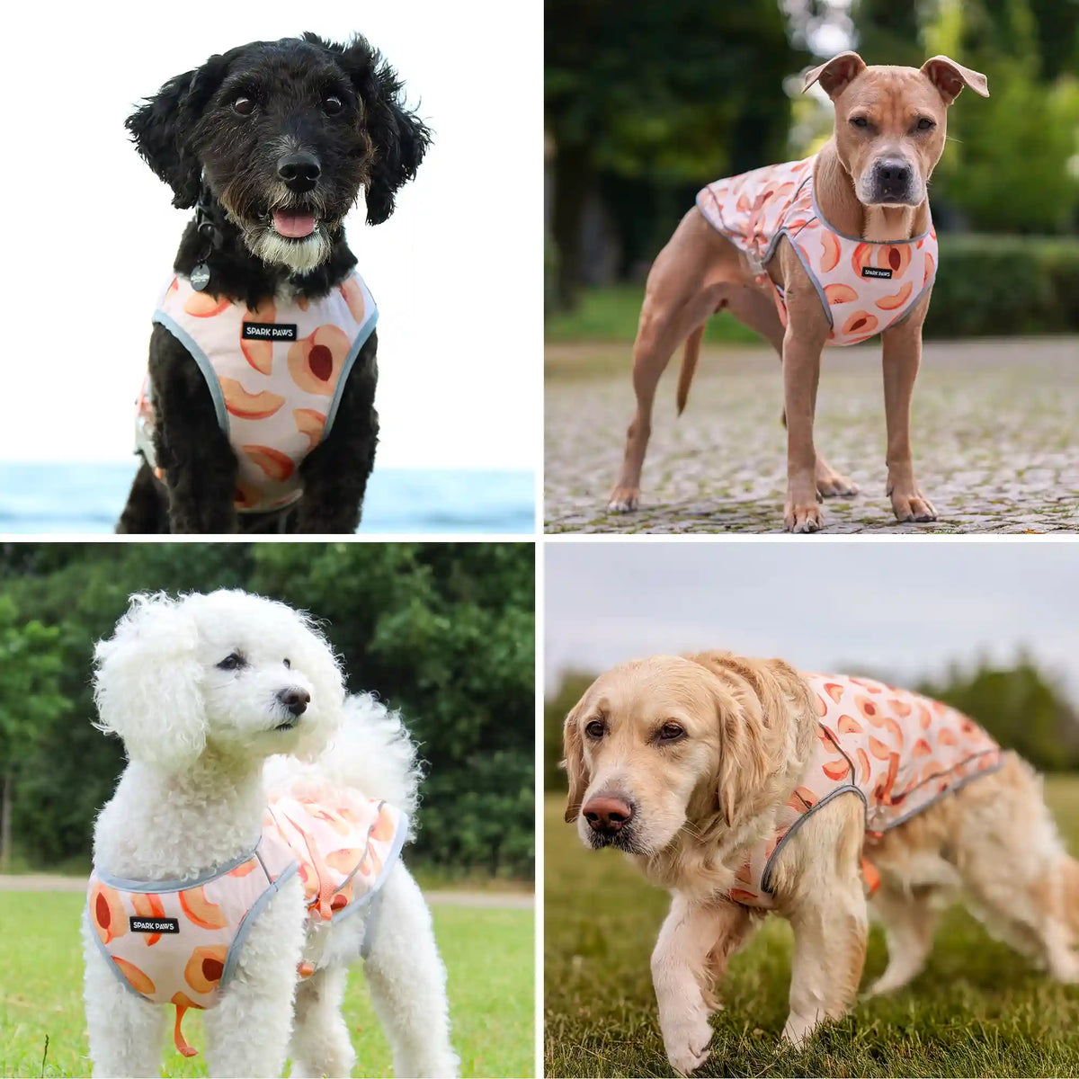Chilltech™ Dog Cooling Vests