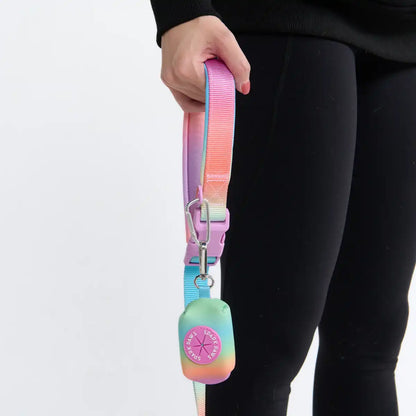 Multipurpose Seatbelt Handsfree Leash & Poop Bag Holder Set