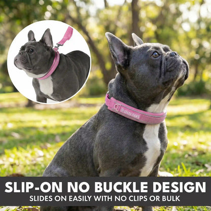 Martingale Collar Set - Pink