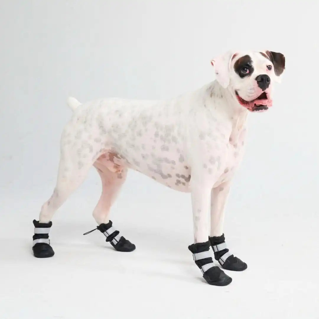 Dog Rainboots, Waterproof Dog Shoes - Black (2)