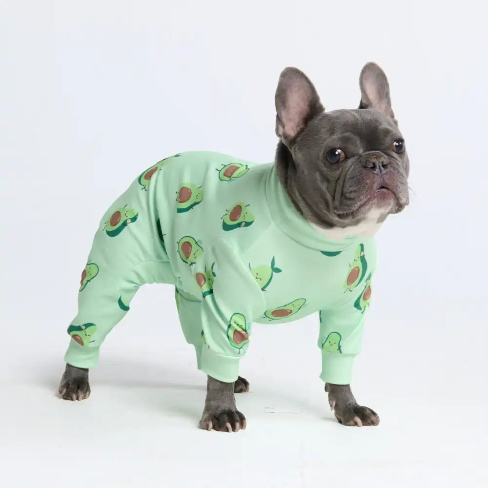 Dog Pajama Prints