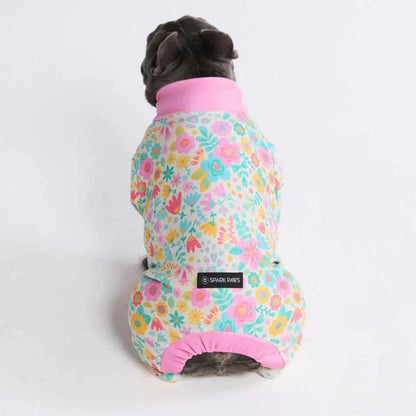 Dog Pajama Prints