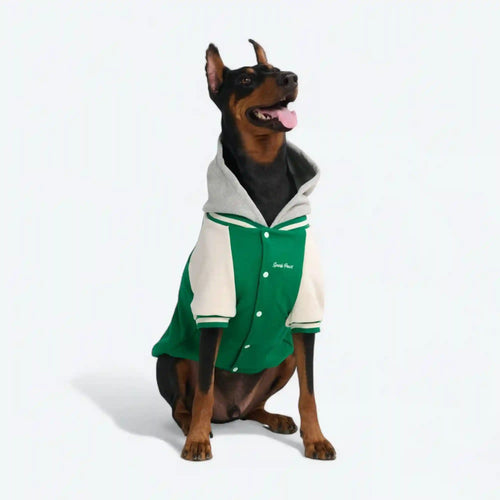 Dog Varsity Jacket - Green