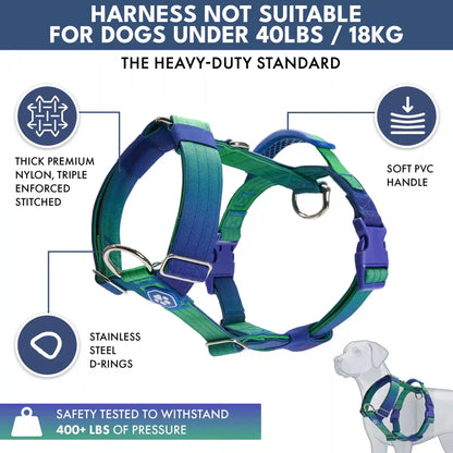 Comfort Control No-Pull Dog Harness and Multipurpose Leash Sets