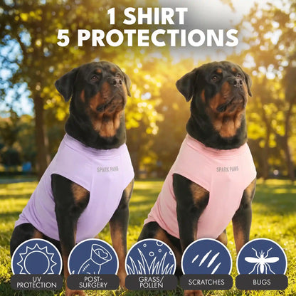Sunblock Dog T-Shirt 2-pack