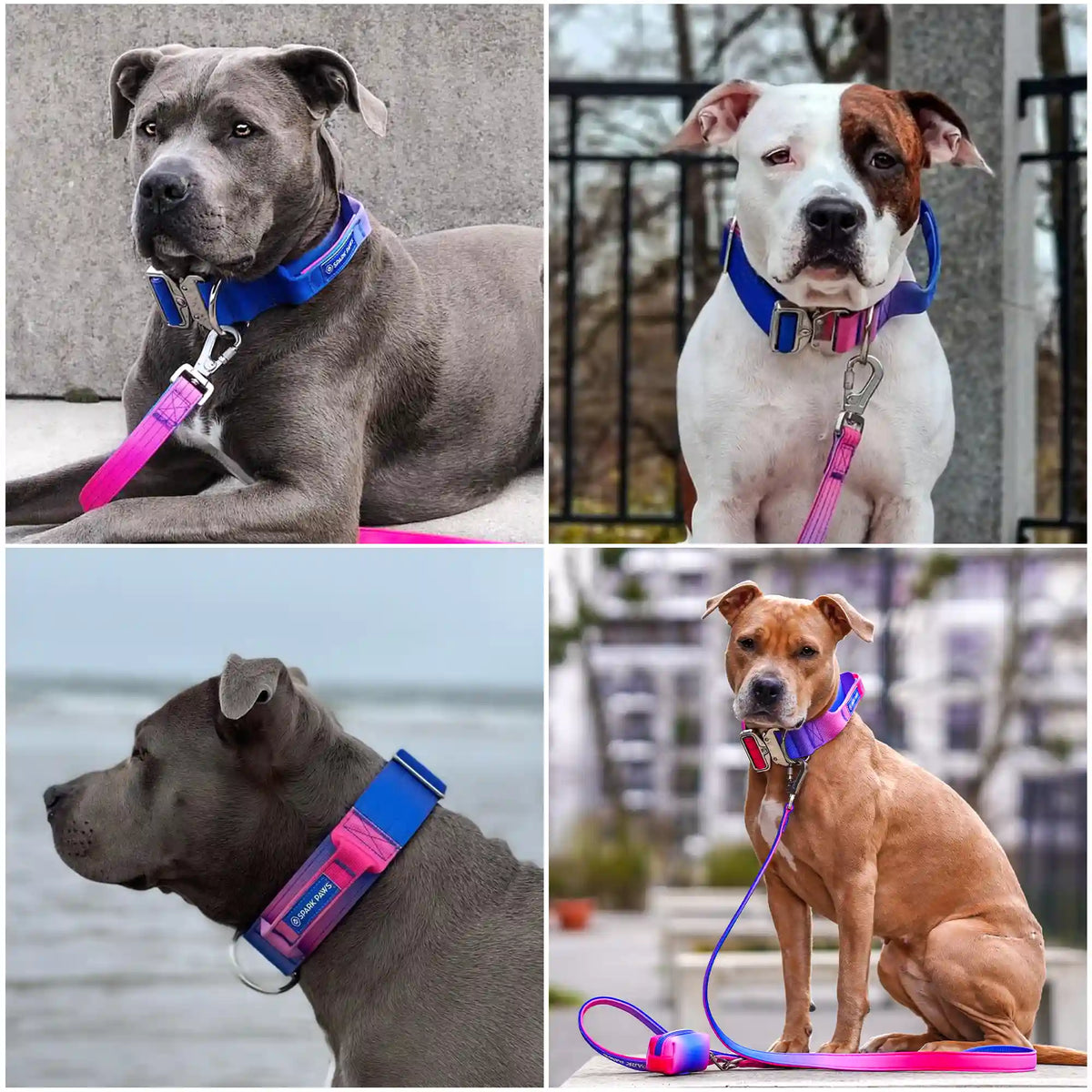 Comfort Control Collar - Snow Cone