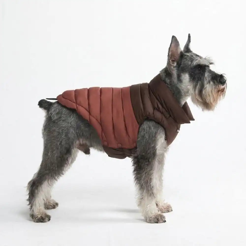 PuffShield Winter Jackets