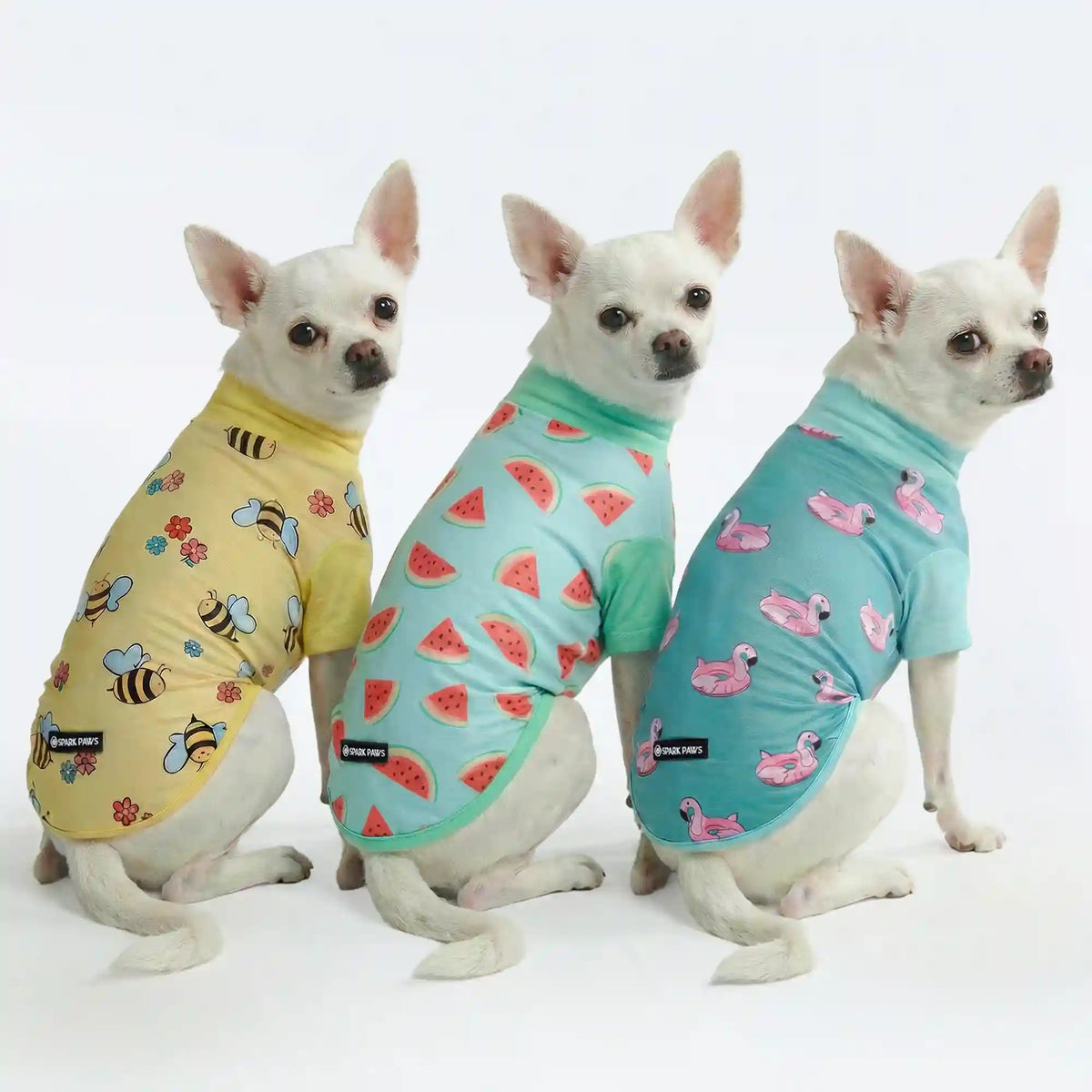 Sunblock Dog T-Shirt (3-pack) - Bees, Flamingo, Watermelon