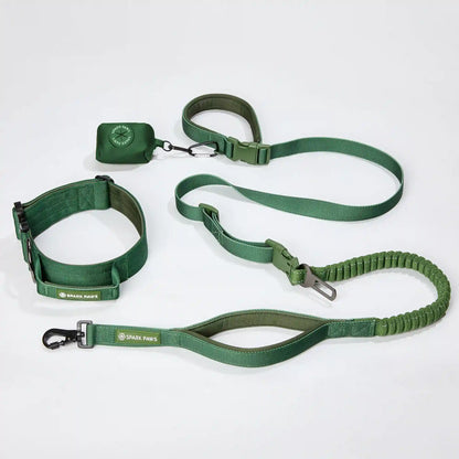 Comfort Control Collar and Multipurpose Leash Set - Green