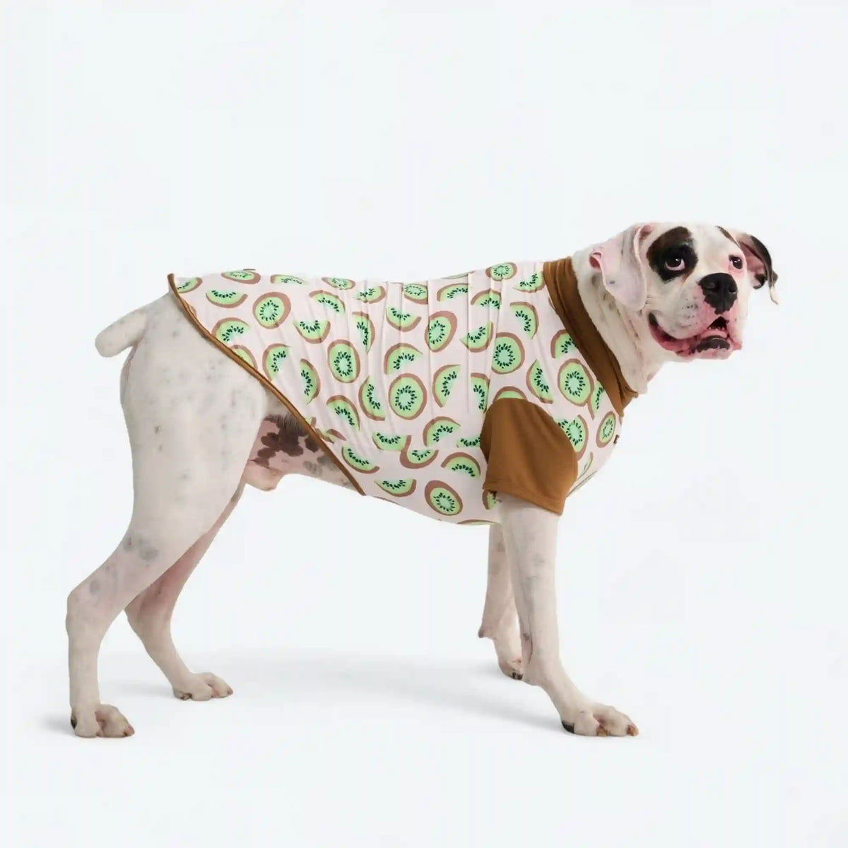 Sunblock Dog T-Shirt - Prints